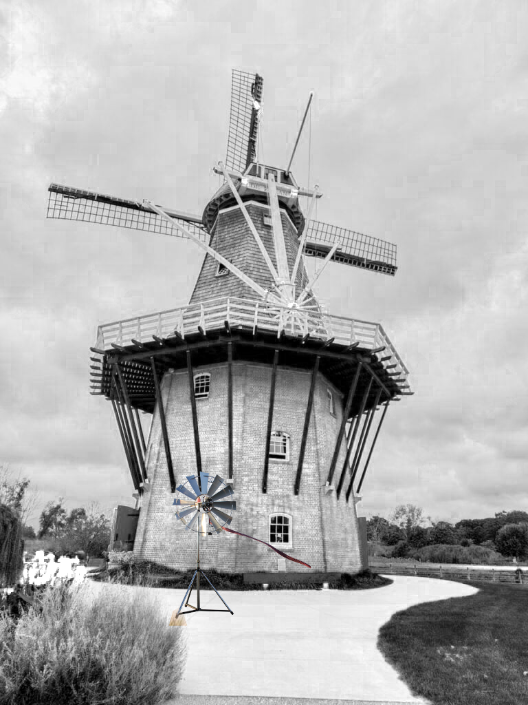 de zwaan zwart wit